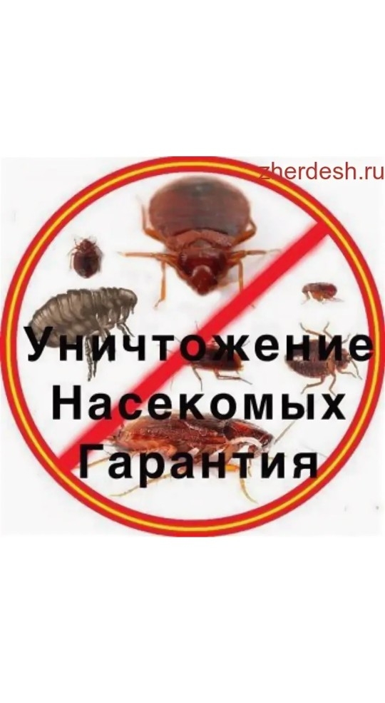 Дез-Маркет Уничтожения насекомых Клопов и Тараканов гарантия 100% ...